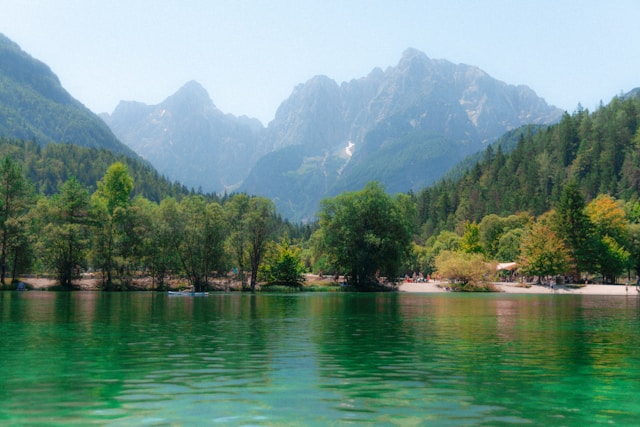 Qualvonesia резултати